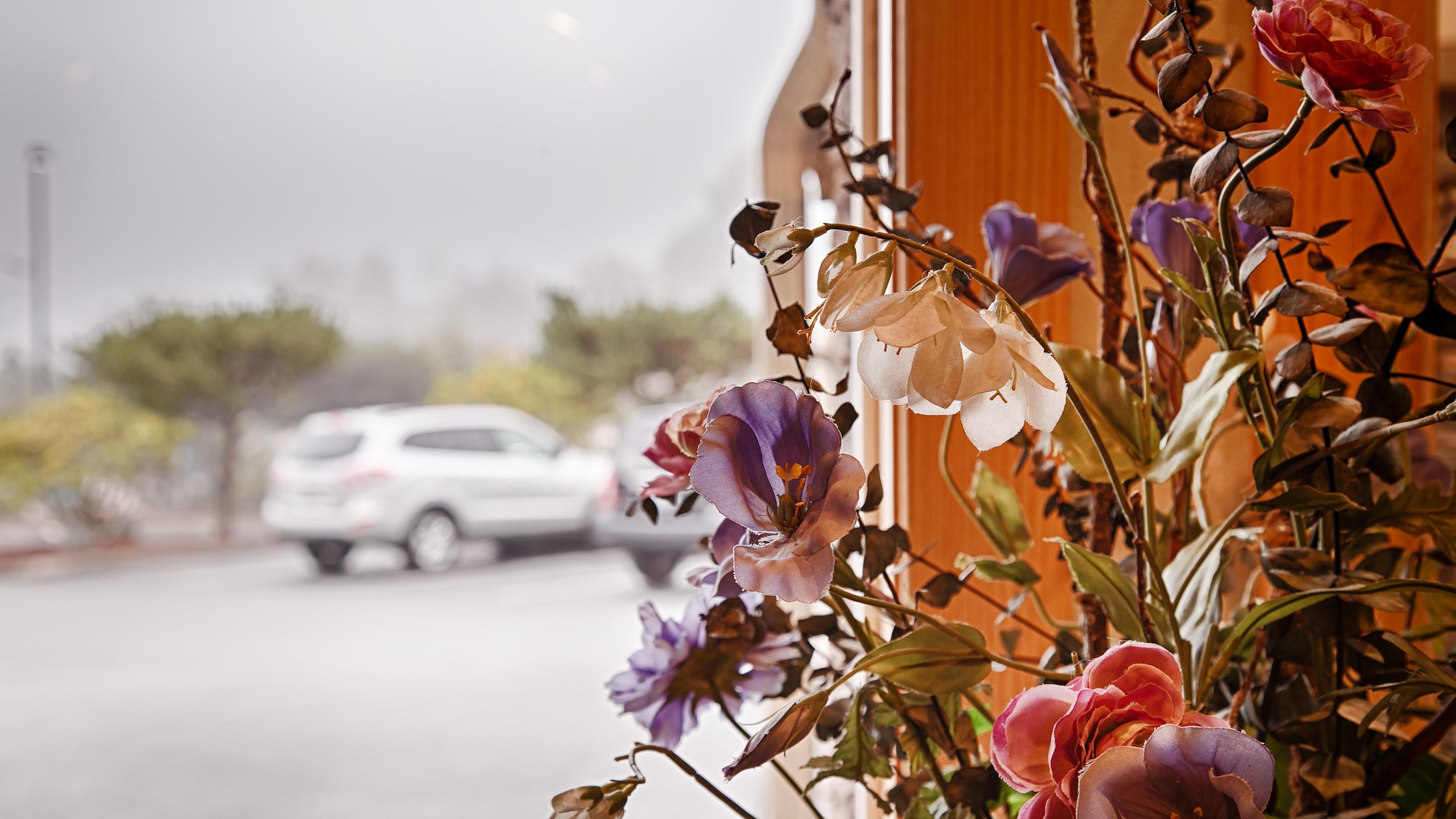 Best Western Plus Landmark Inn Lincoln City Exterior photo